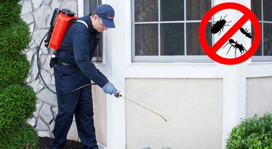Akçaabat Bit İlaçlama böcek ilaçlama ve haşere kontrolü — ilaclama-tr.com